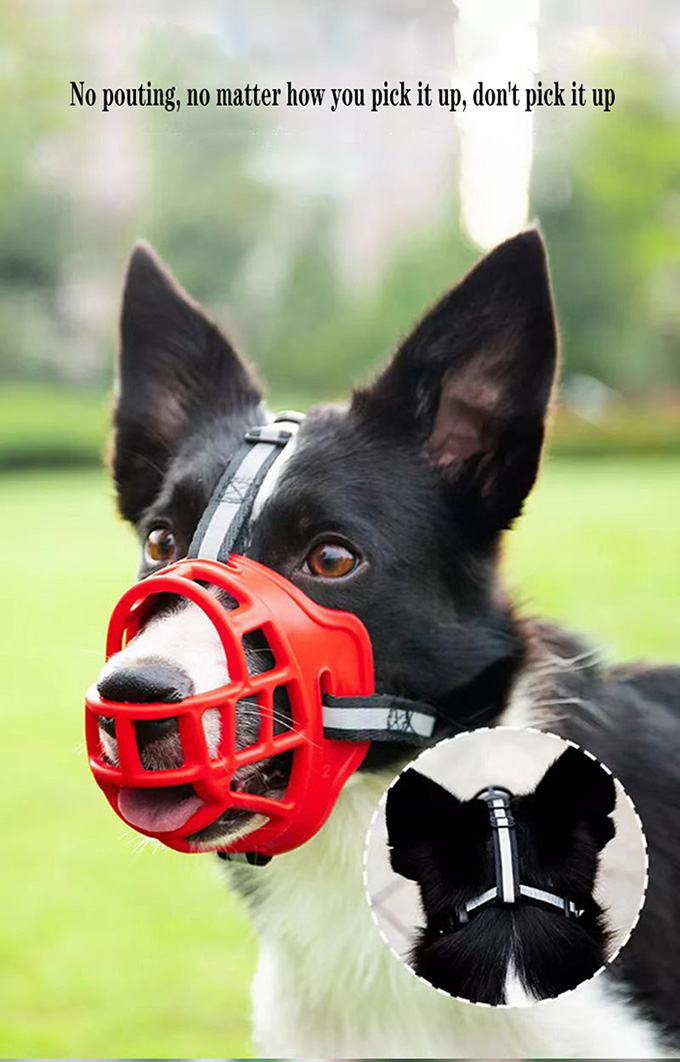 dog muzzle
