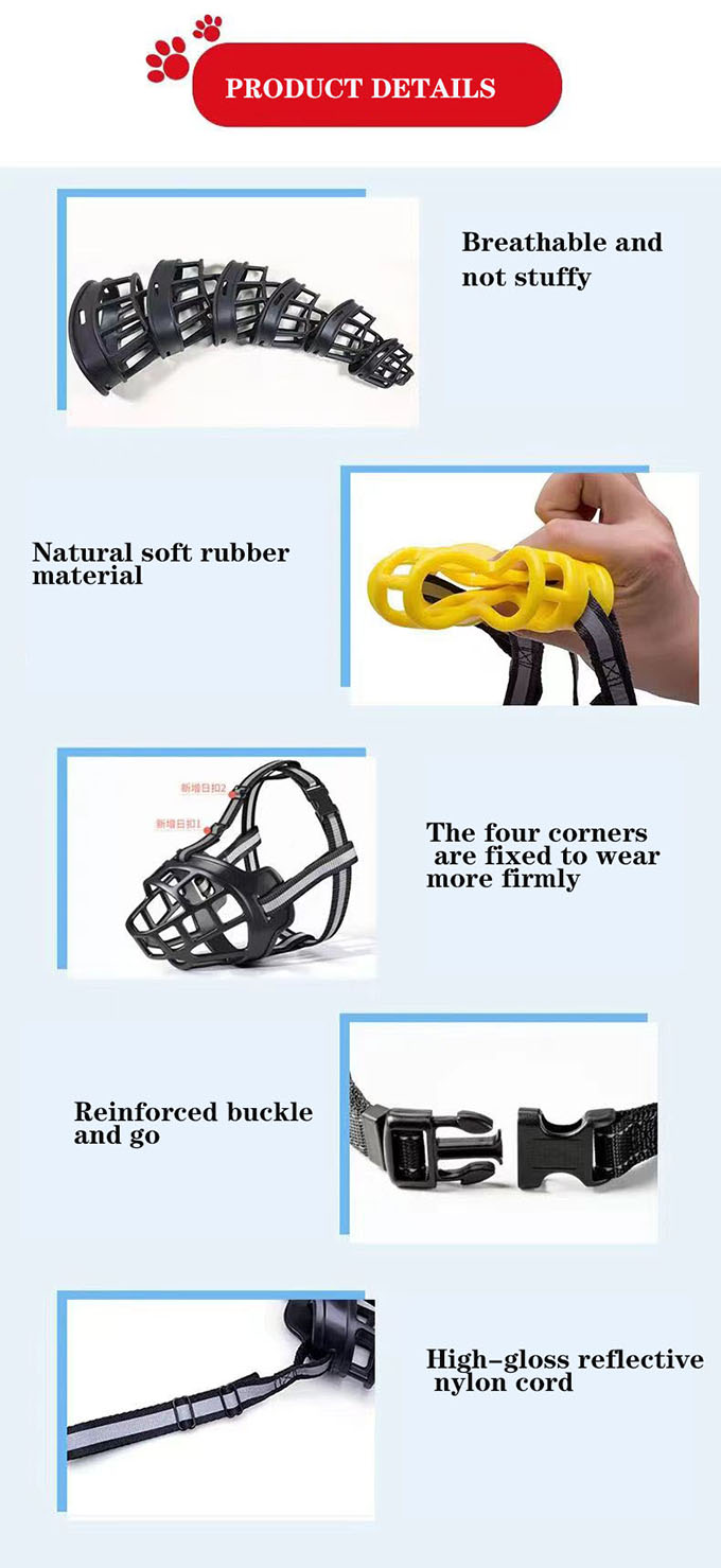 dog muzzle detail