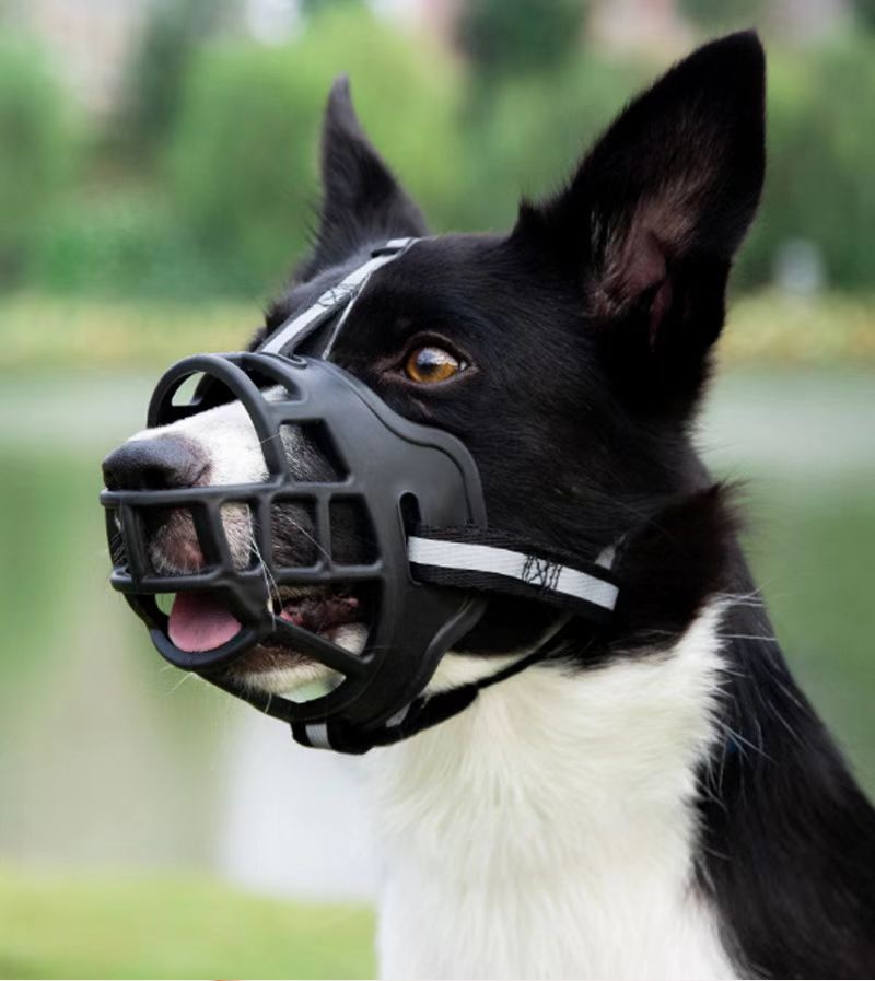 dog muzzle